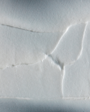 MELANOPRO פילינג