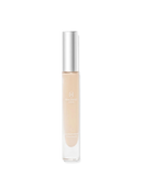 HP Concealer